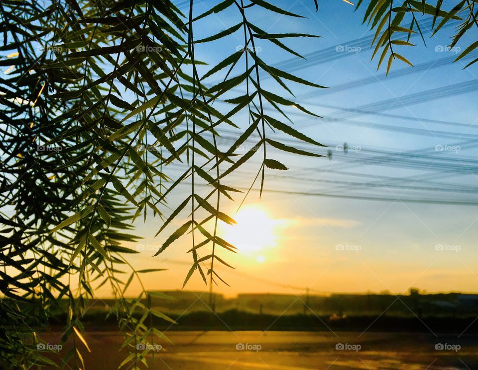 🌅07h00 - Desperte, #Jundiaí. 
Que a jornada diária possa valer a pena nesta 5a feira!
🍃
#sol #sun #sky #céu #photo #nature #morning #alvorada #natureza #horizonte #fotografia #pictureoftheday #paisagem #inspiração #amanhecer #mobgraphy #mobgrafia