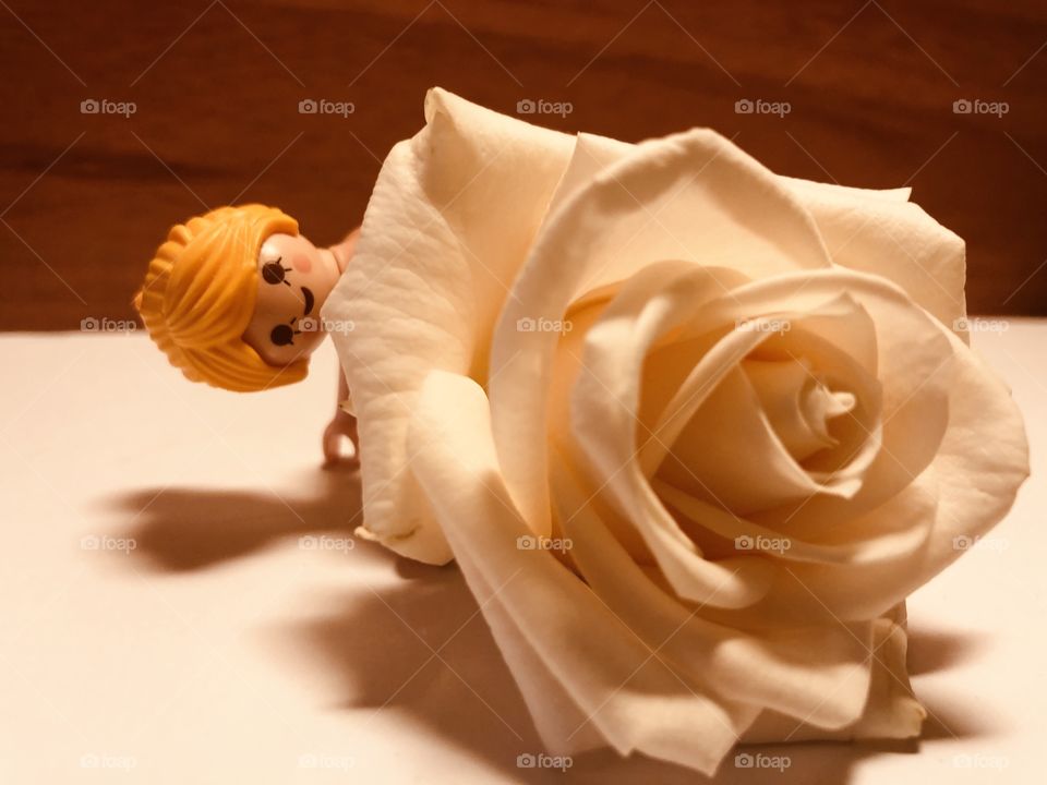 Playmobile and roses