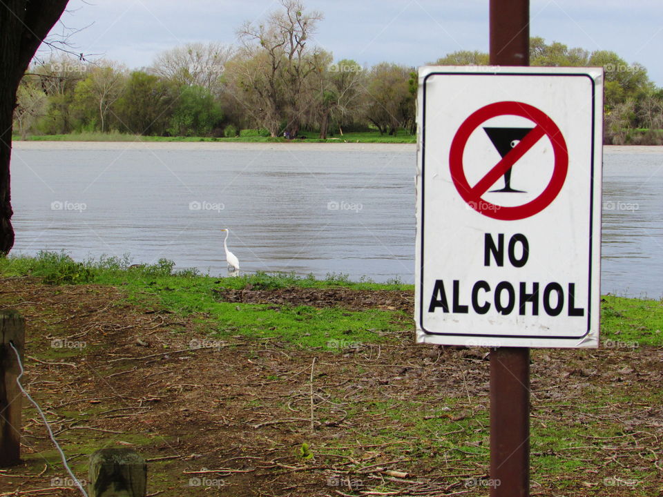American River Rising buy mark sarden