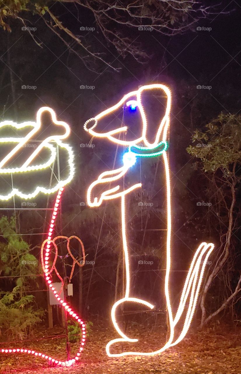 Christmas Lights with dog and dog bone