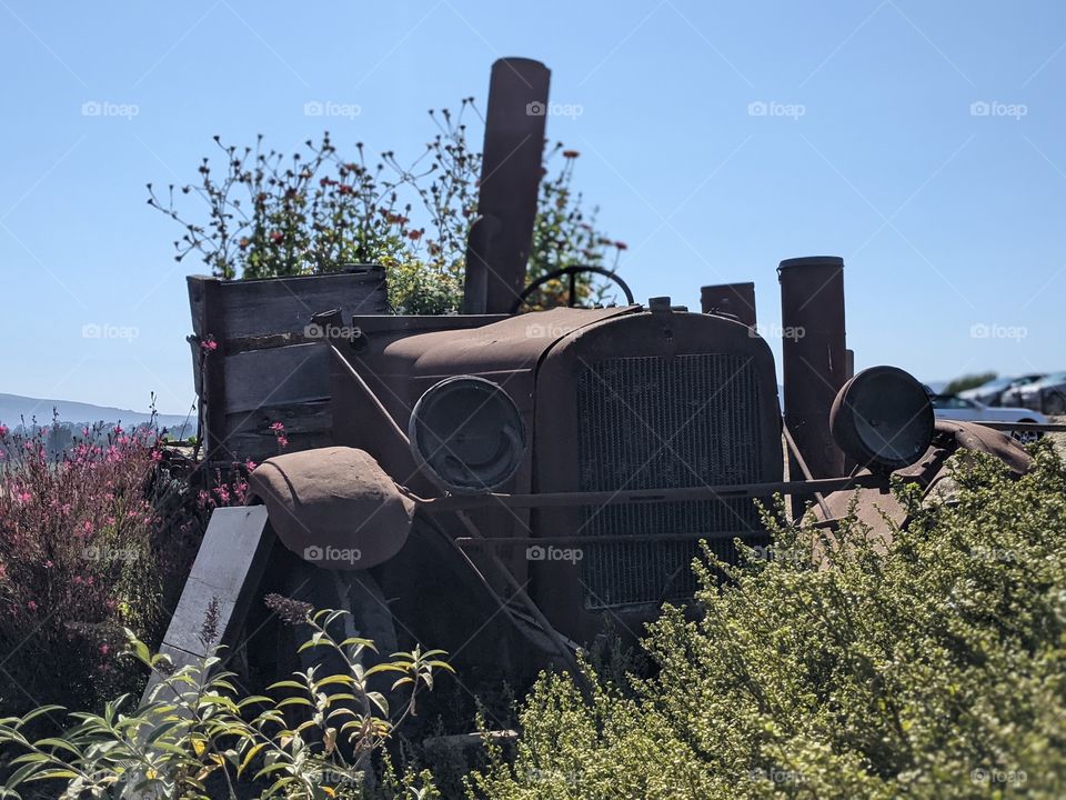 old cars and flowers