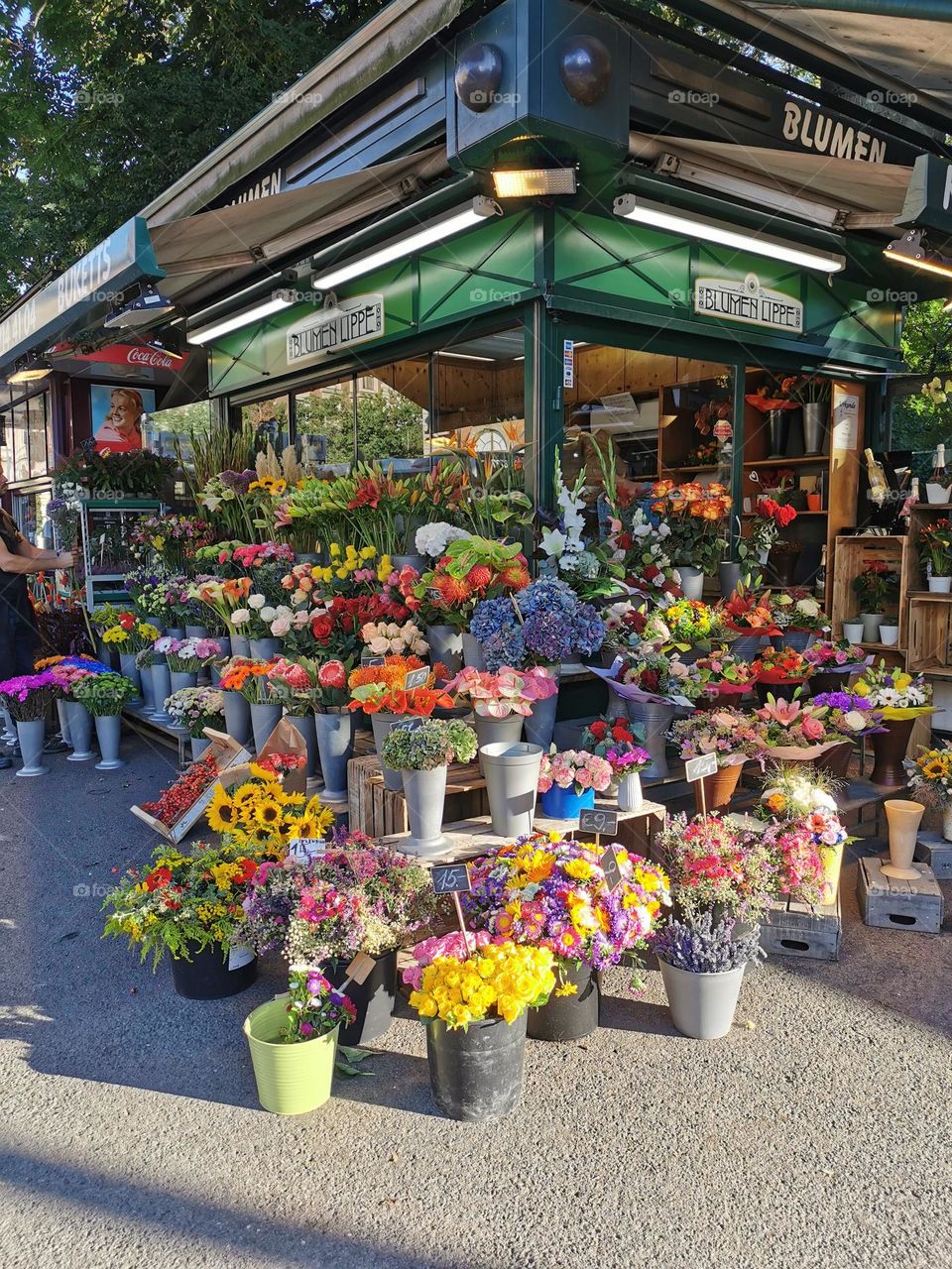 flower corner in Vienna