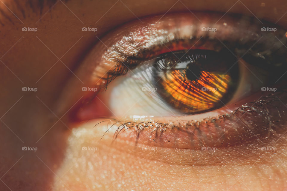 Close-up of reflection in brown eyes