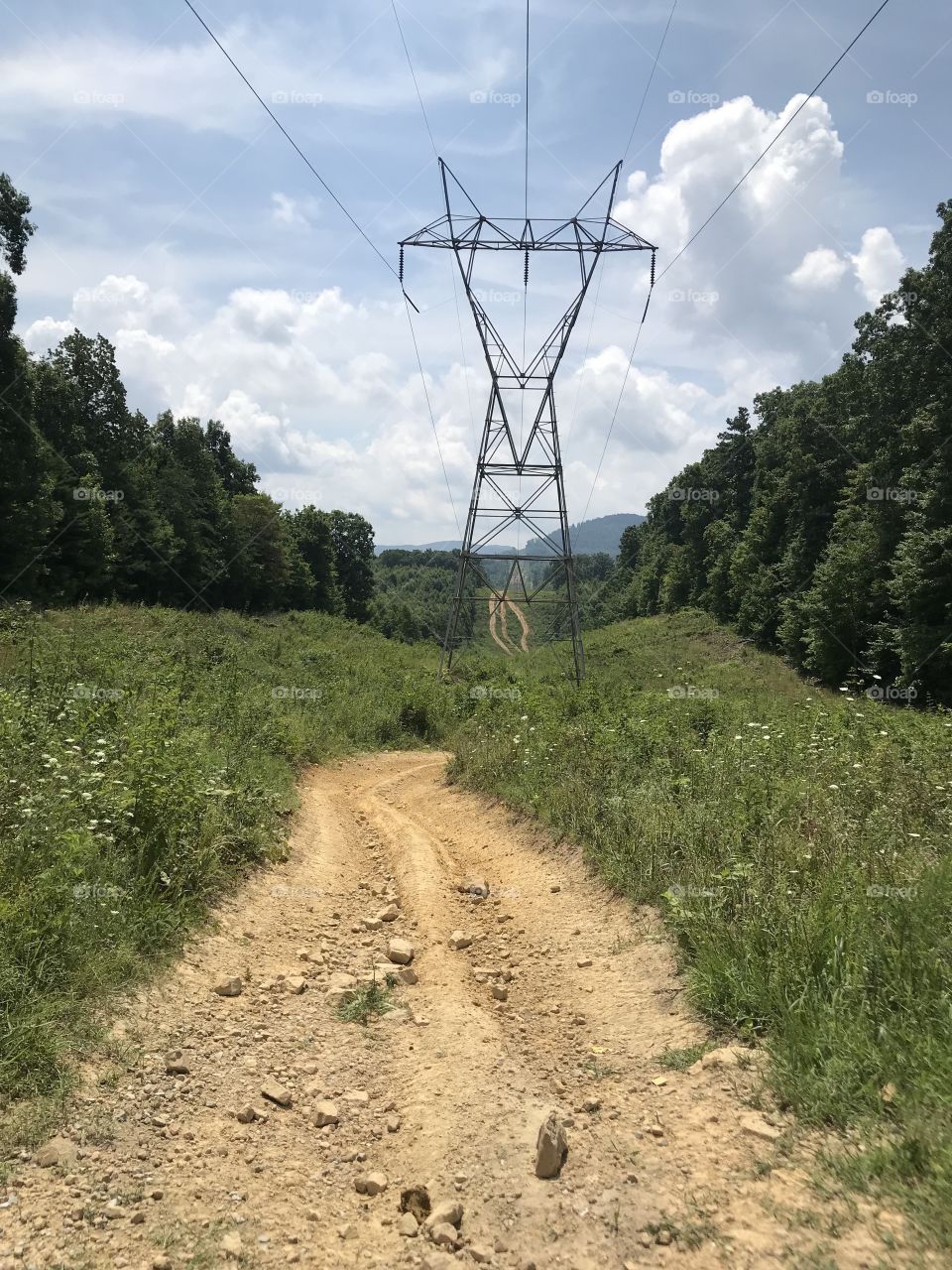 Powerline Hills....one of many gorgeous trails in Tennessee for outdoor recreation. 