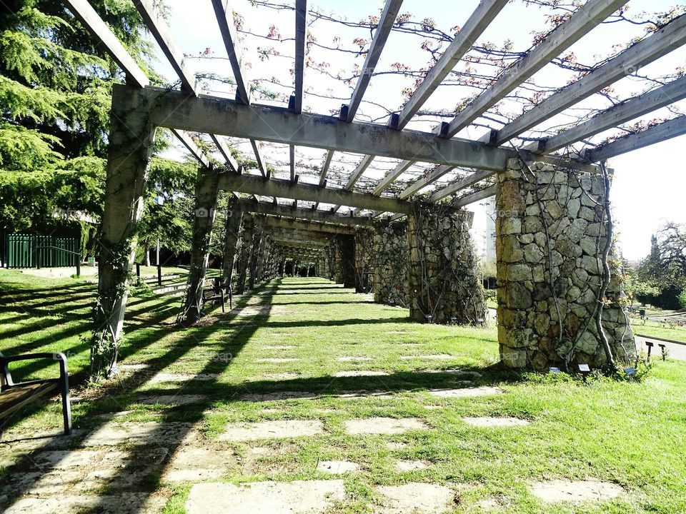 The greatness of the park