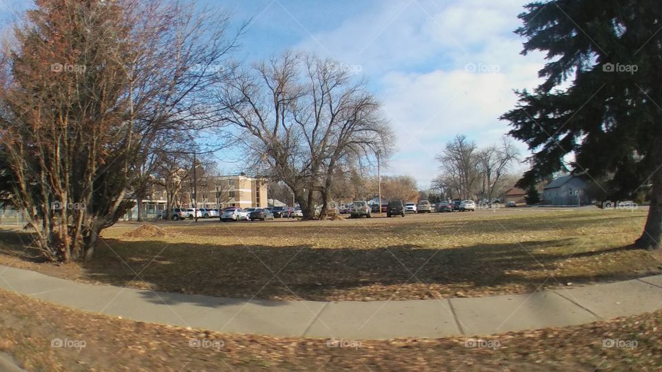 Tree, Fall, Landscape, Weather, Flood