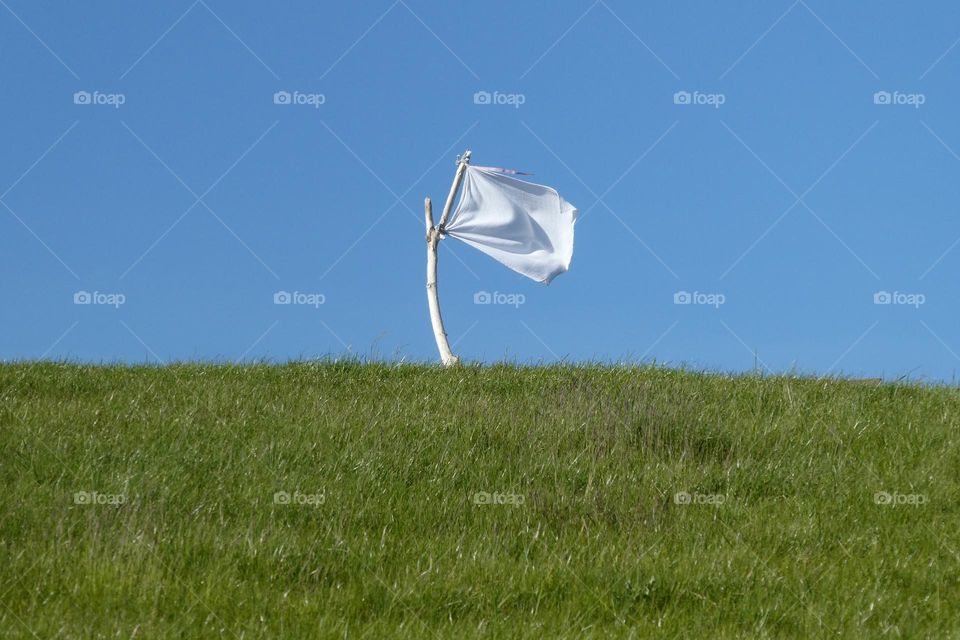 White flag on green grass