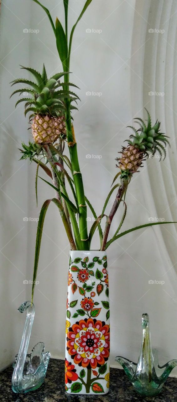 ornamental pineapple