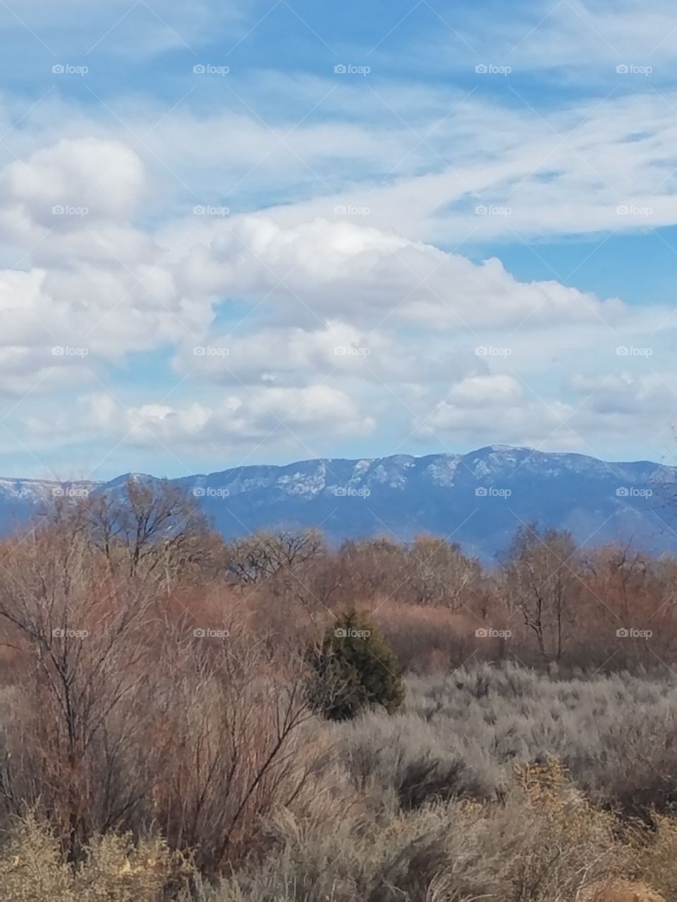 Sky,  Mountain and Trees