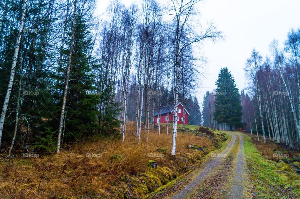 A red house in Akershus fylke, Norway. 