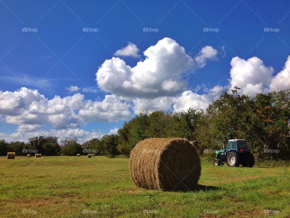 sky field cloud sunlight by malanis