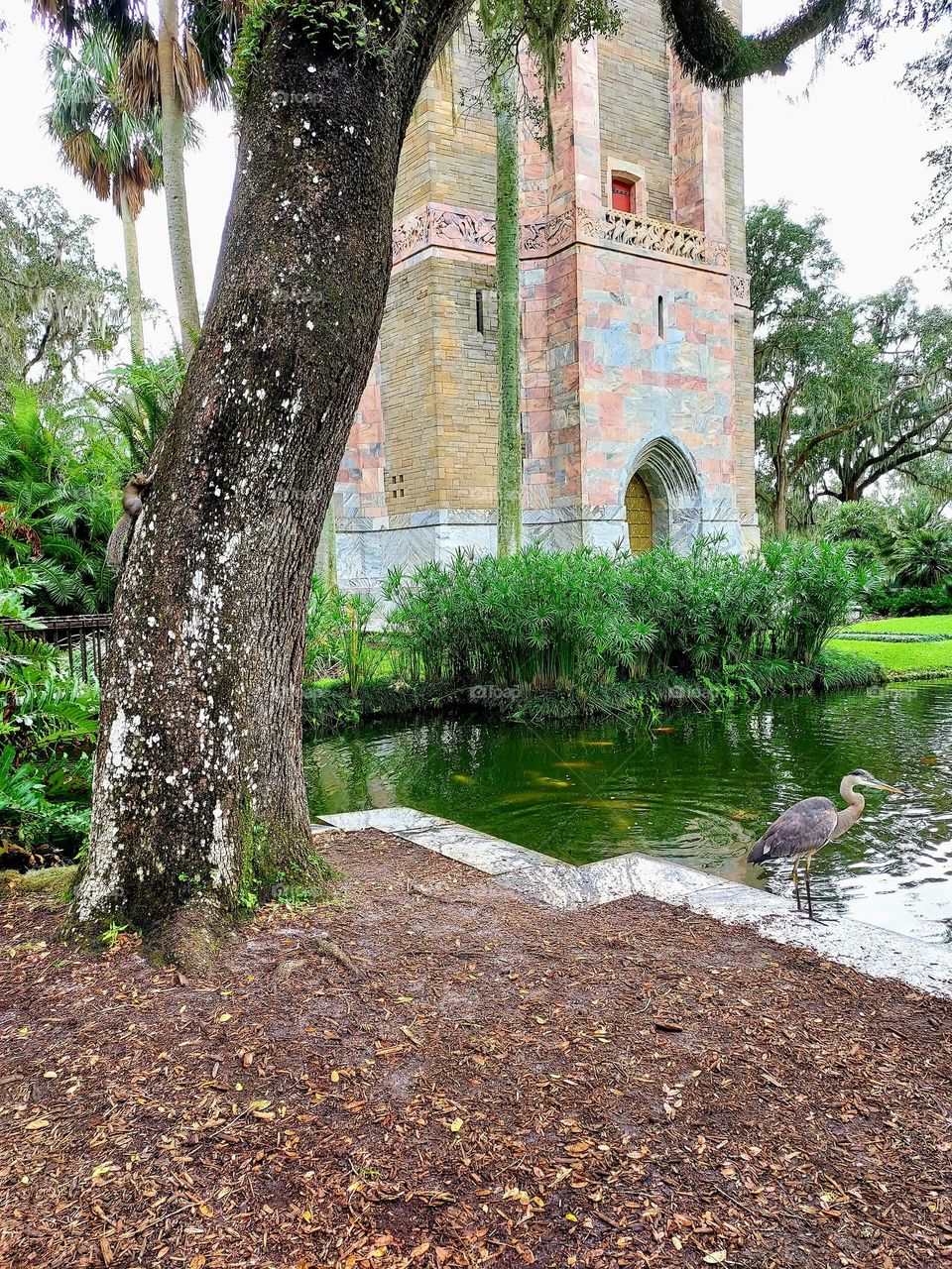 Beautiful Exotic Garden a Great Relaxing Place
