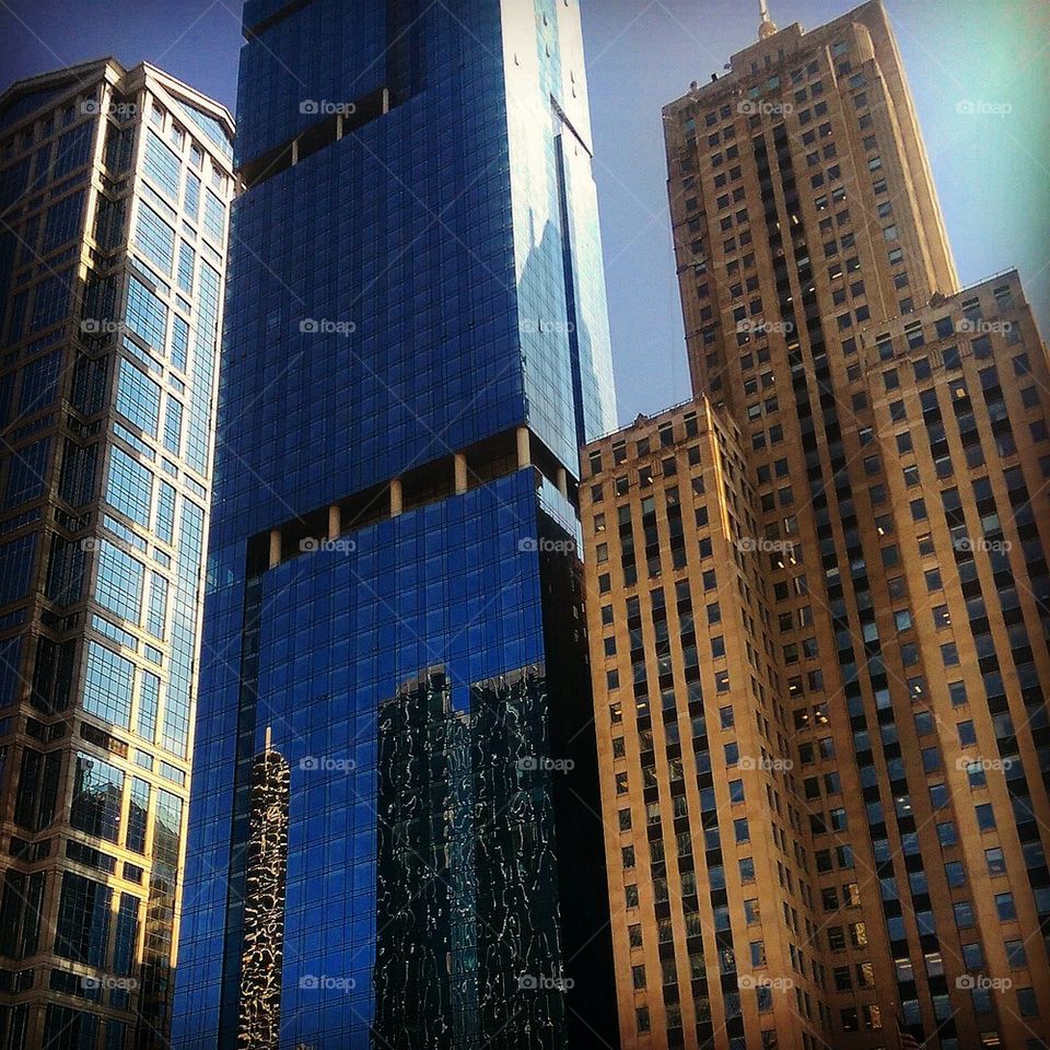 Chicago  Reflection 