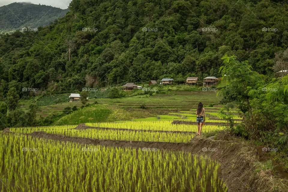 Peaceful woman walking and breathing in green rice terraces in a wonderful landscape in Thailand