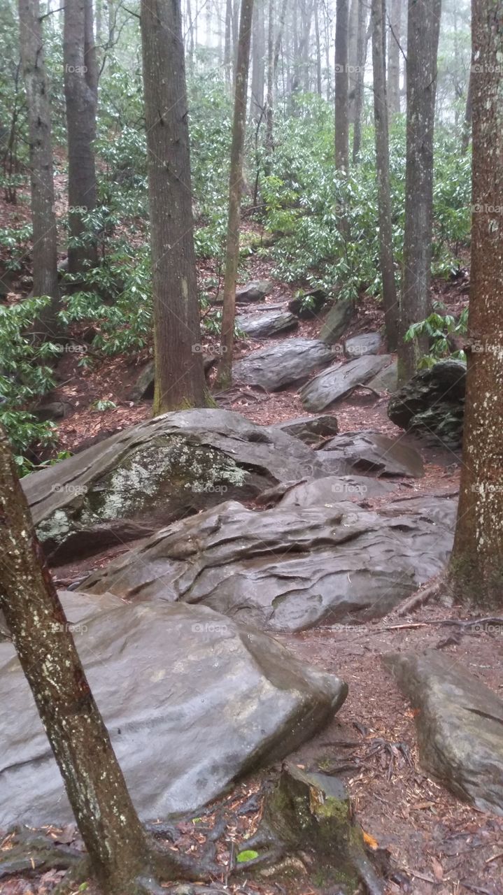 rock trail. hiking
