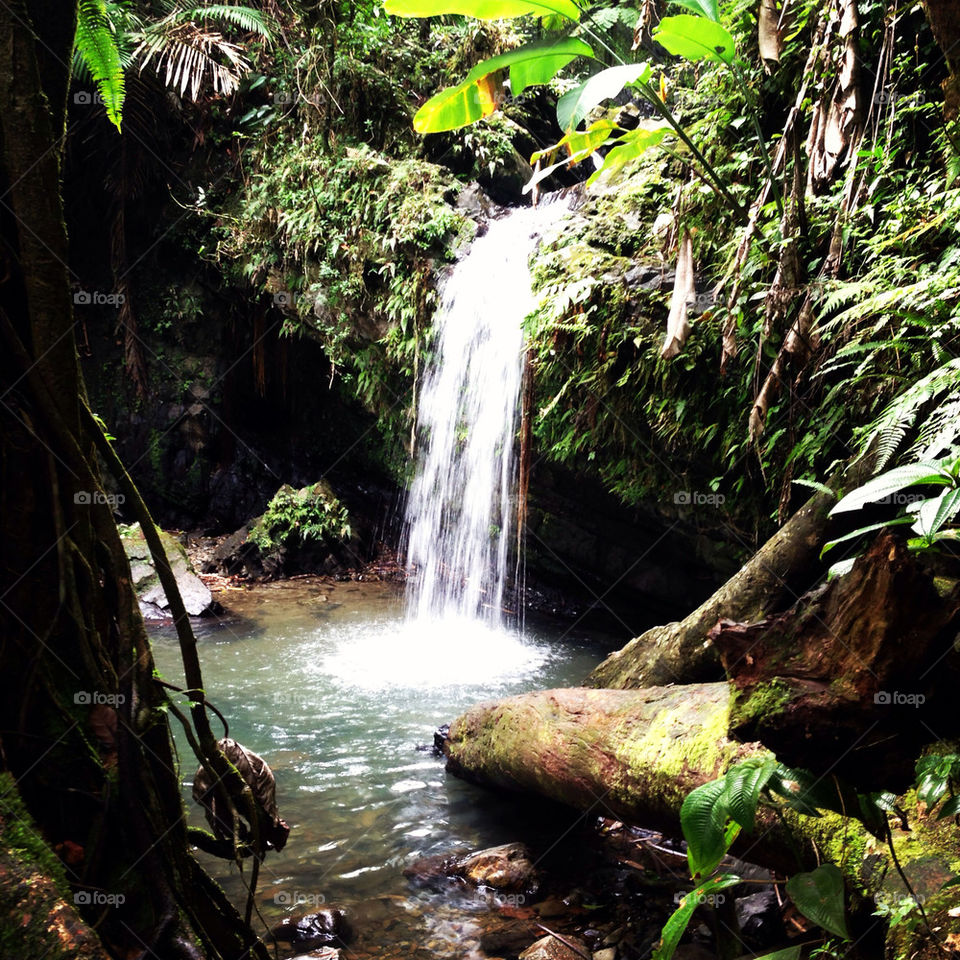 Waterfall in el junque rain forest, Puerto Rico