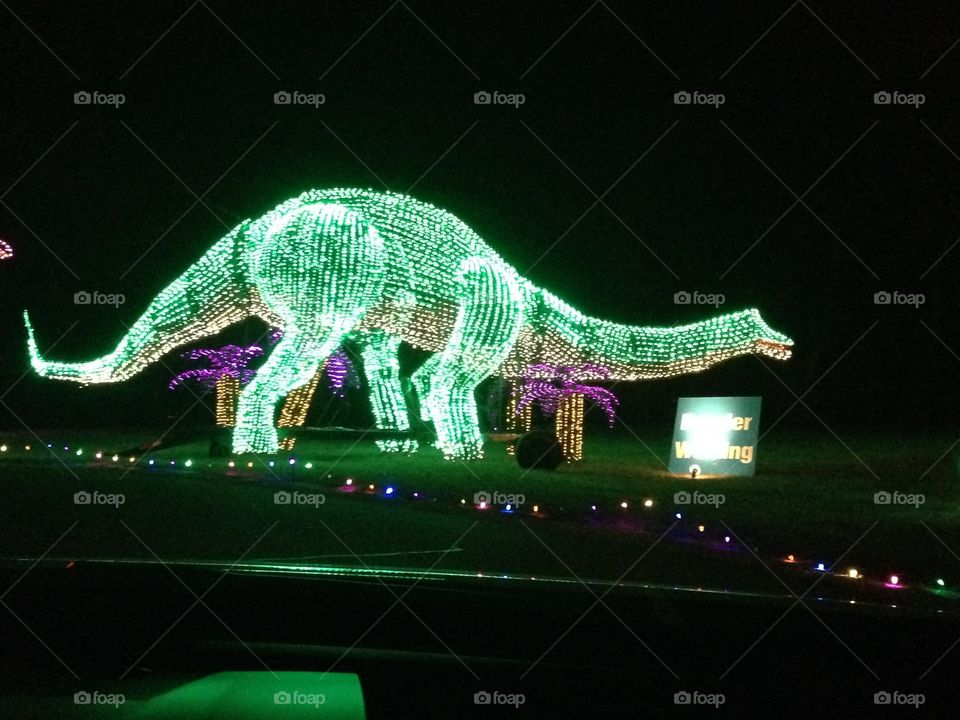 Festival of Lights Dinosaur