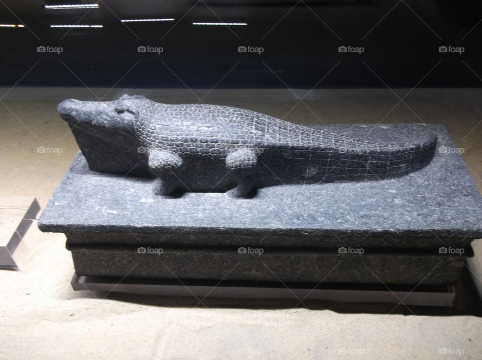 Luxor Egypt Tourism Trip crocodile