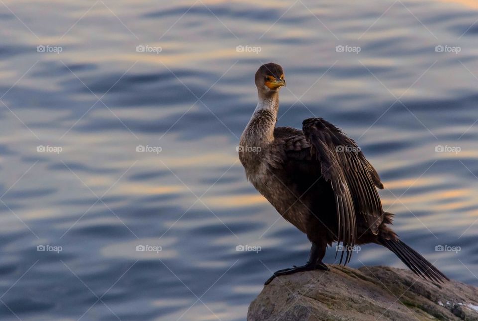 Smile for the camera 