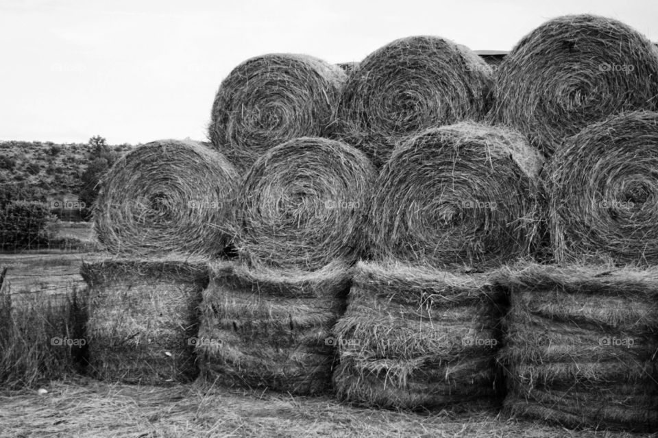 stack of grass hay bales