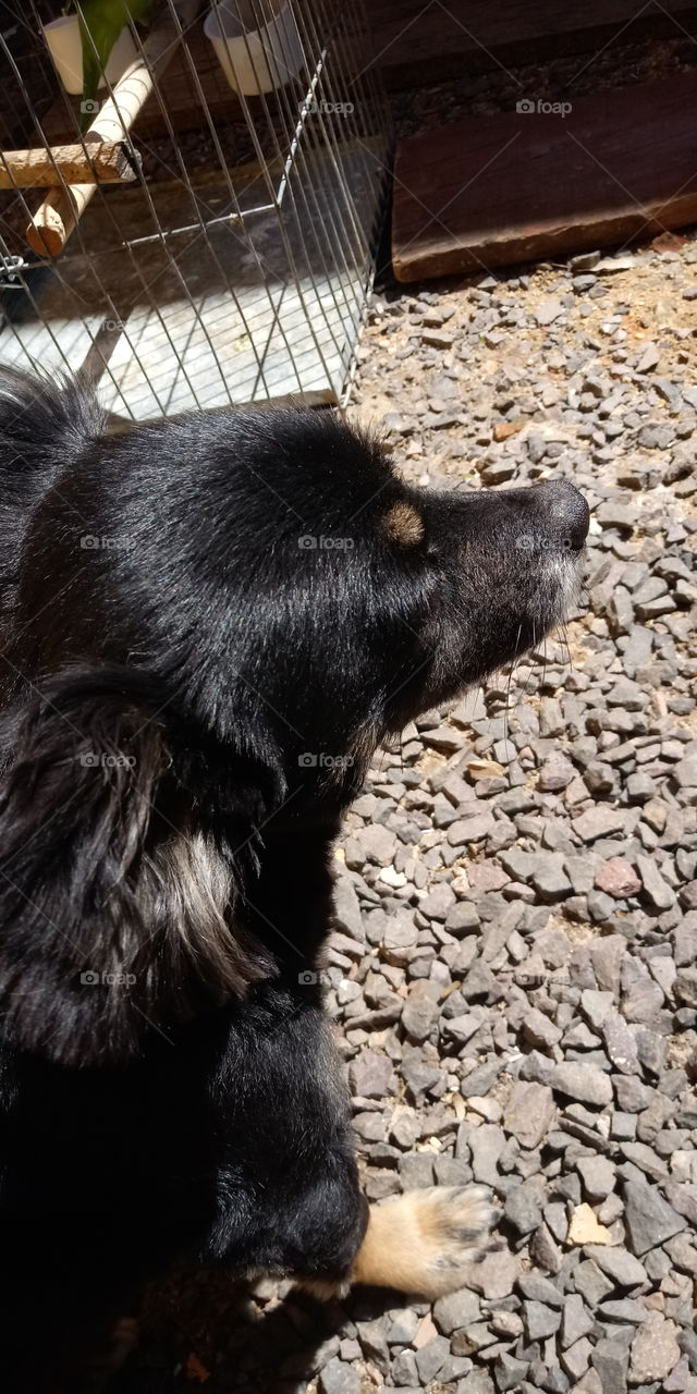 Pensamentos distantes