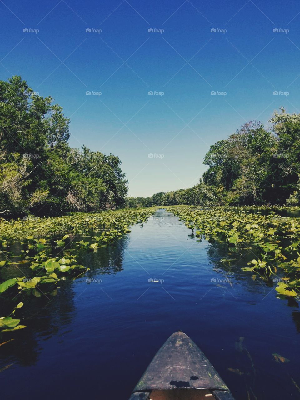 A scenic view with blue skies and breathtaking colors during a canoe tour. 