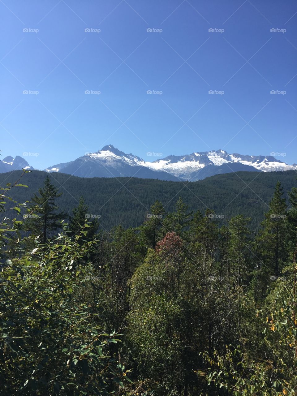 Western view of snow covered mountains from the Sea to Sky Highway with clear blue skies above and greenery below.