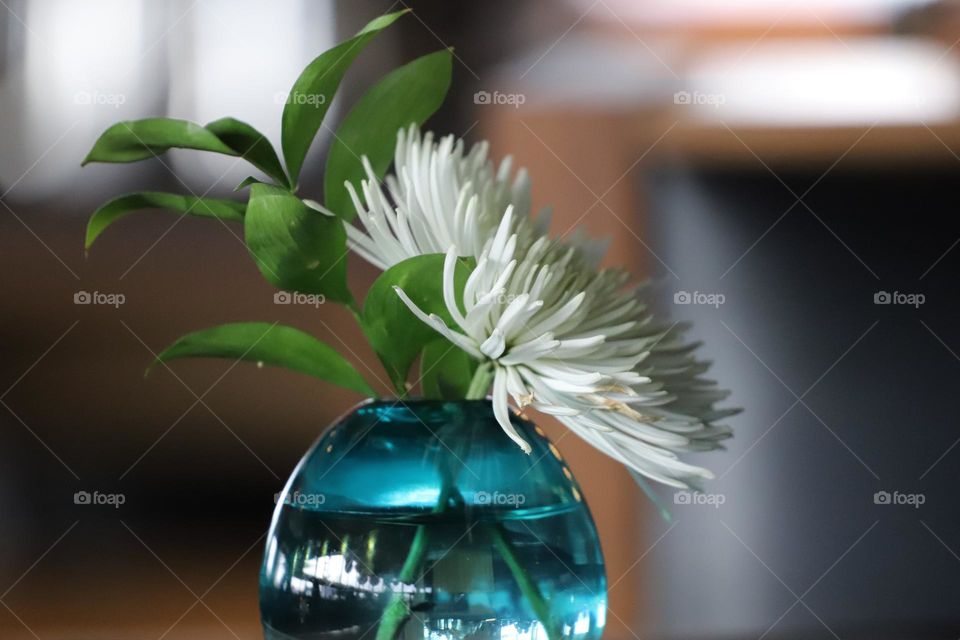 Blue vase with white flower 