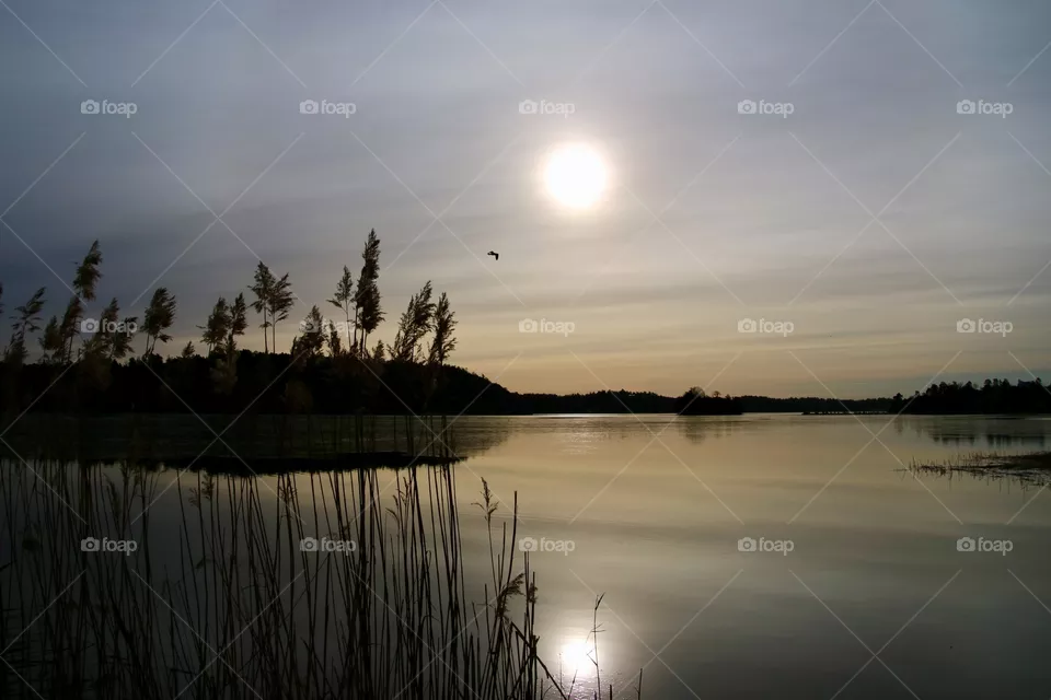 Sunrise