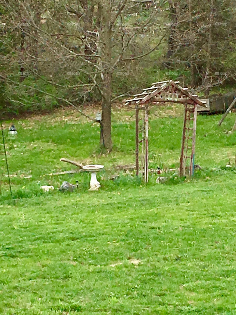 Distressed Arbor and birdbath 