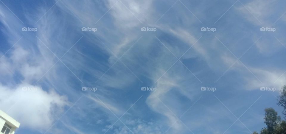 Artist of all life ❤️🧿