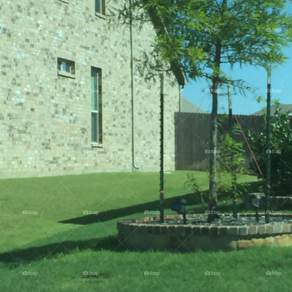 No Person, Tree, Grass, Building, Lawn