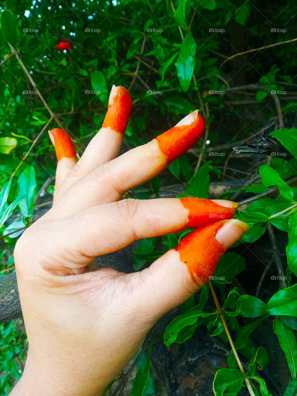 The color of heena defines the love.