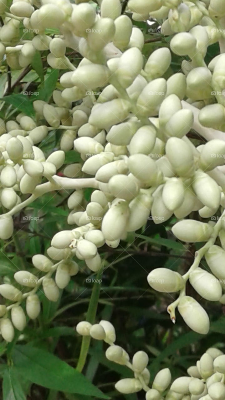 nature create beauty