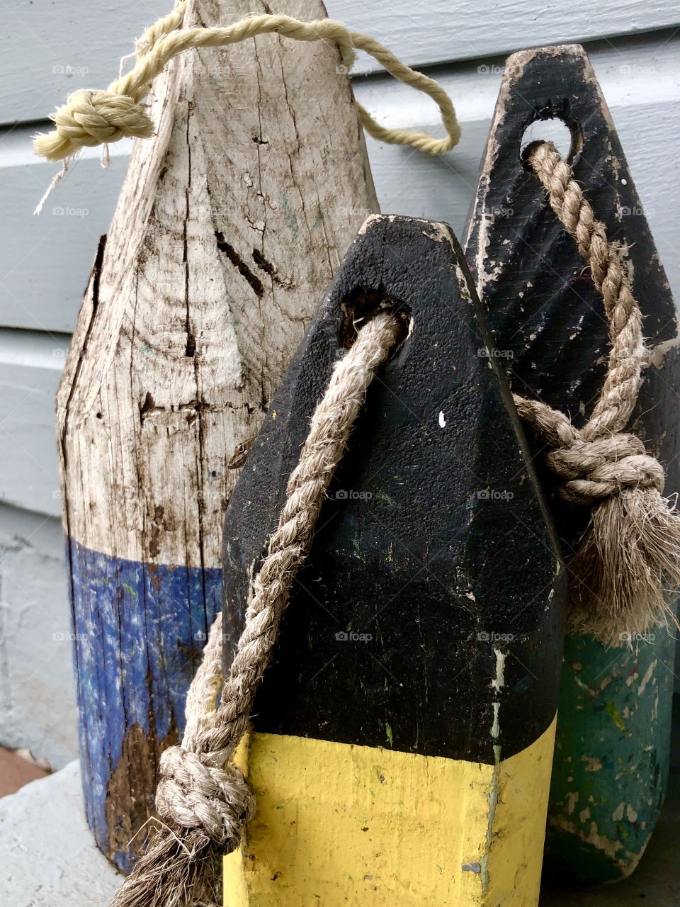 Lizard peeping out from behind old wooden nautical floats on porch 
