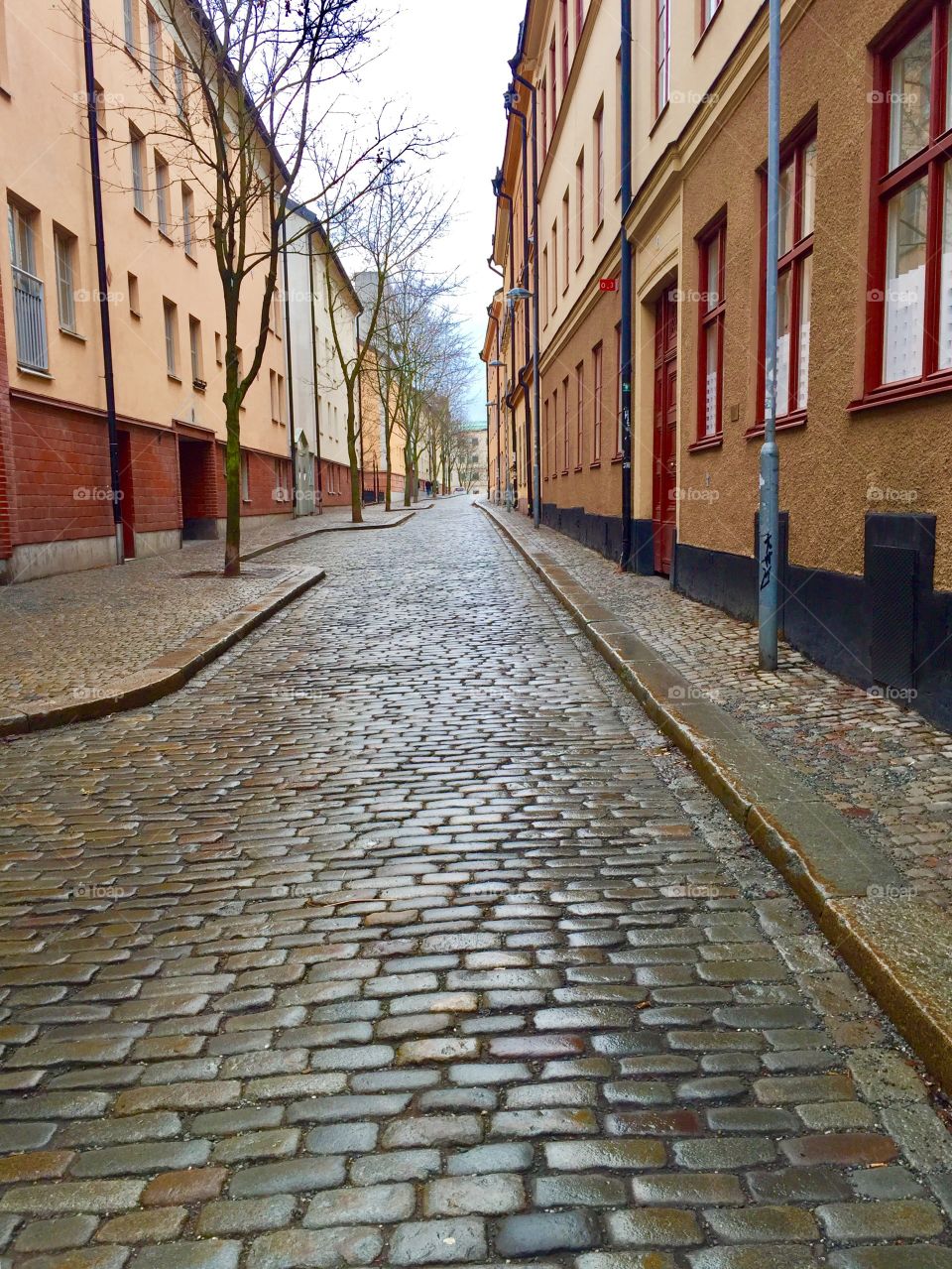 Wet, cobbled street