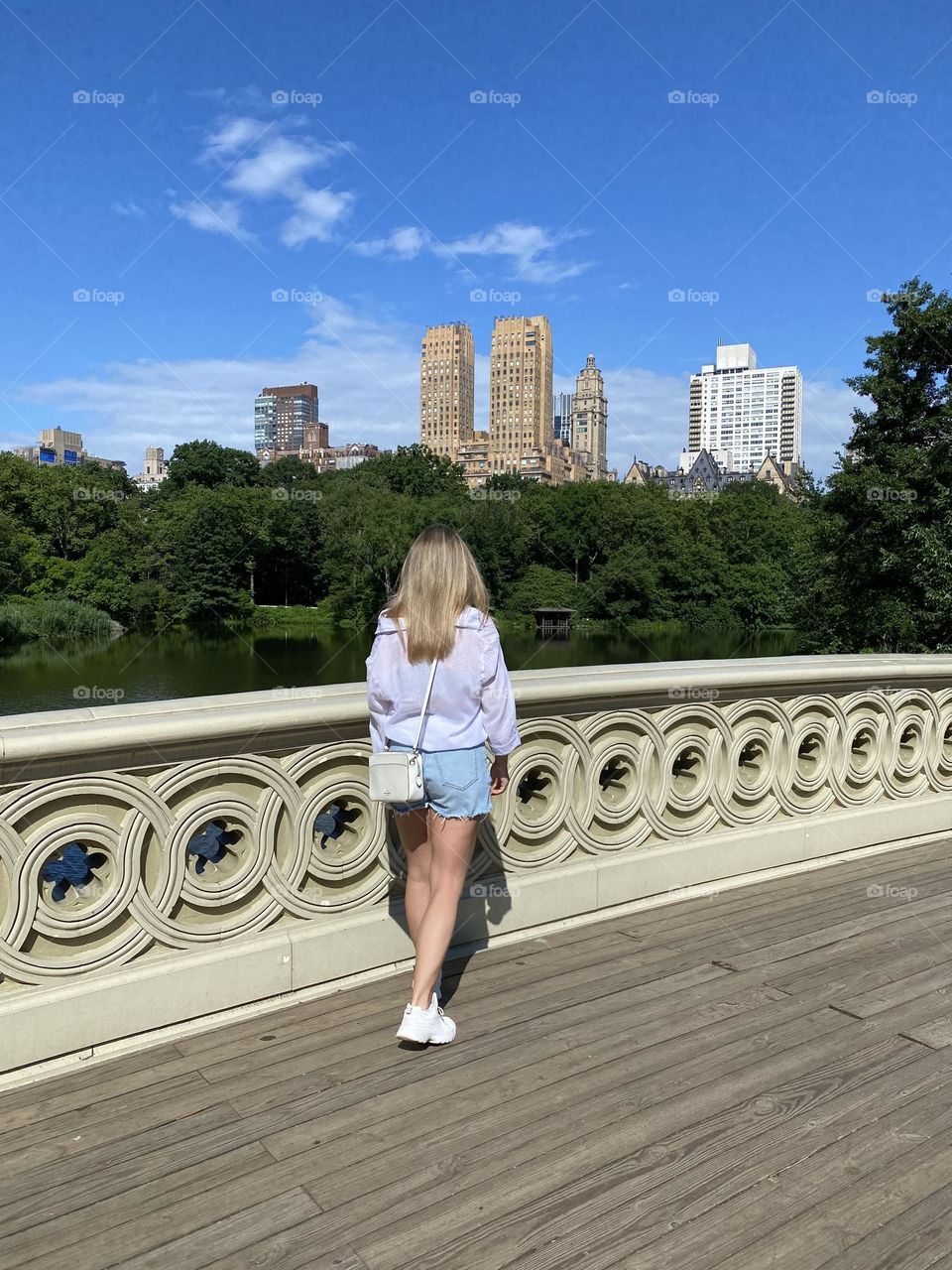 Central Park Bridge