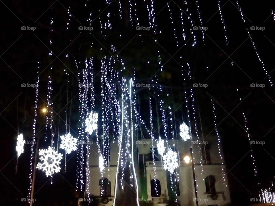Light, Christmas, Evening, City, Celebration