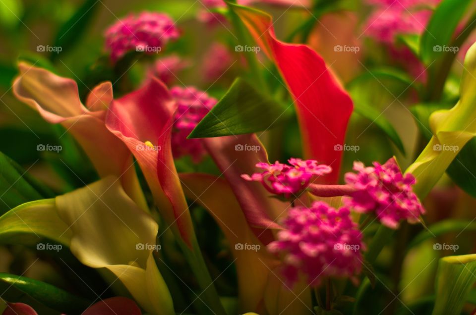 Flower arrangement