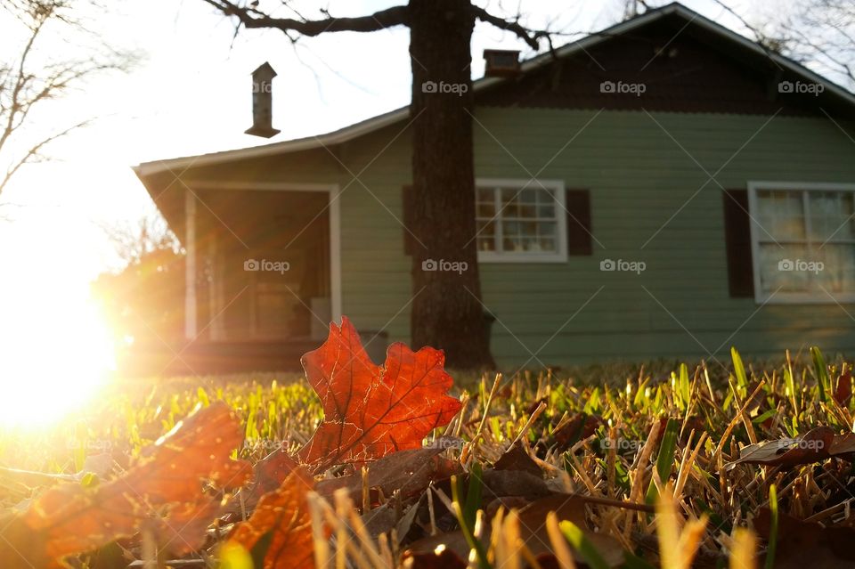 An orange leaf in the yard of a house first signs of autumn