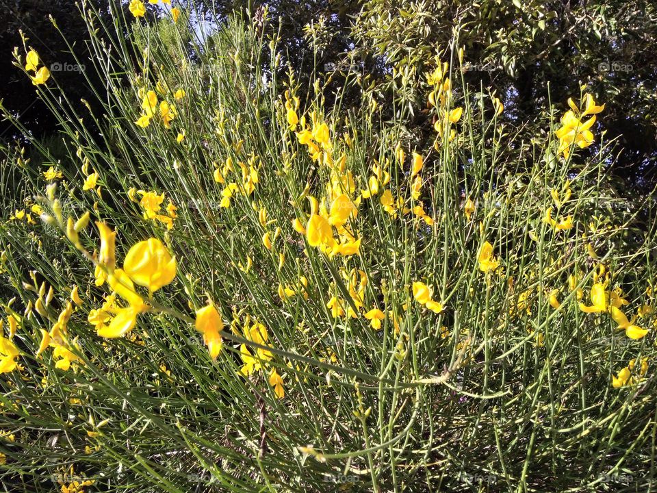 Editors' Choice - Photo of the Week