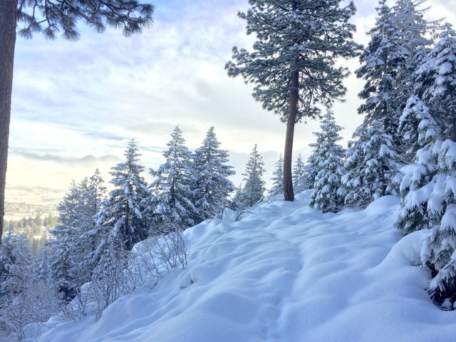 snow