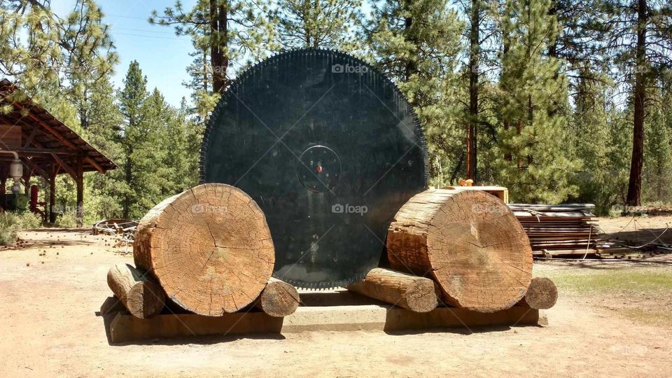 Collier State Park Logging Museum