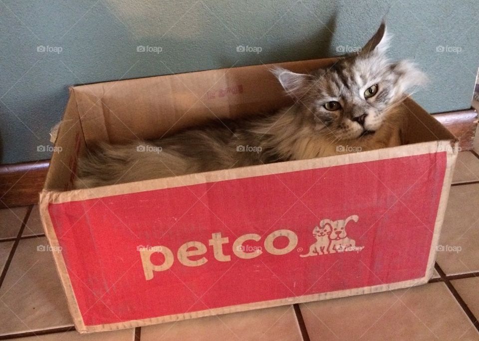 Guess what came .....