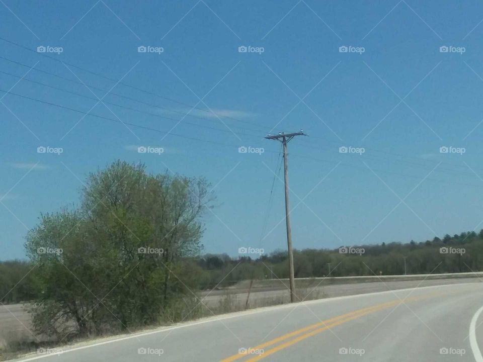 Val's Ride Share where your doller still has value