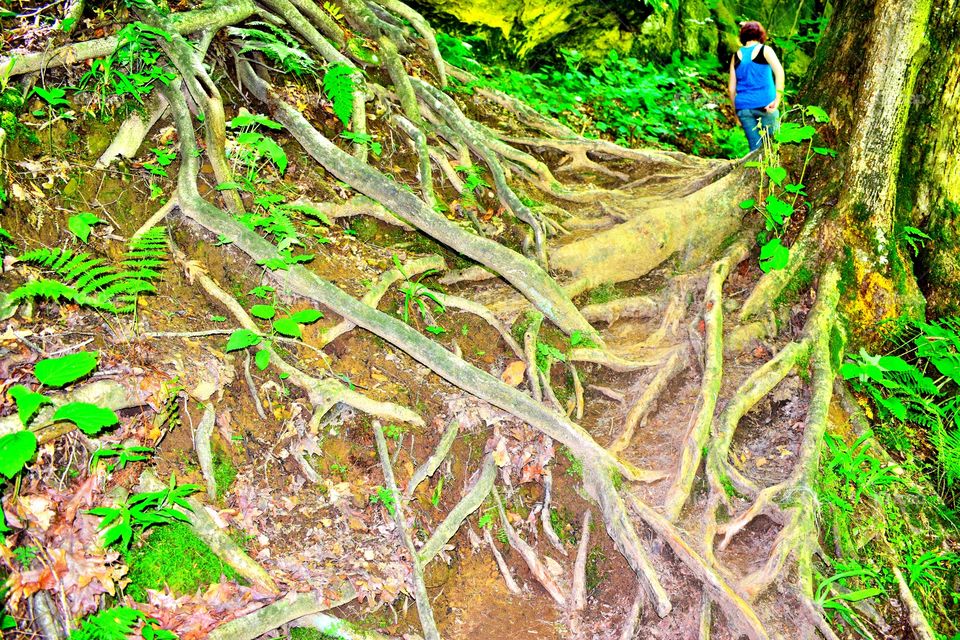 Hiking in turkey run state park in Indiana 