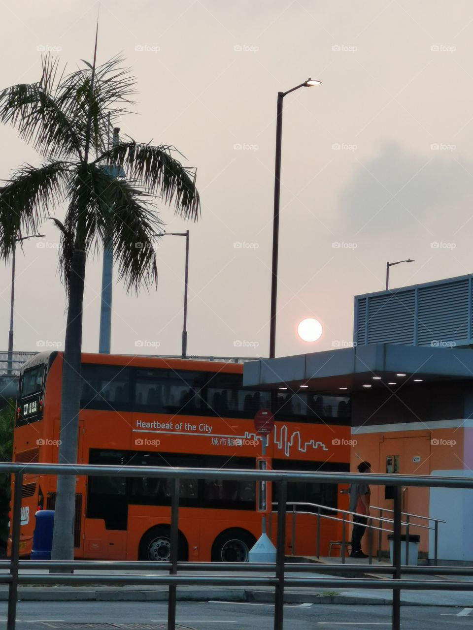 sunrise and bus