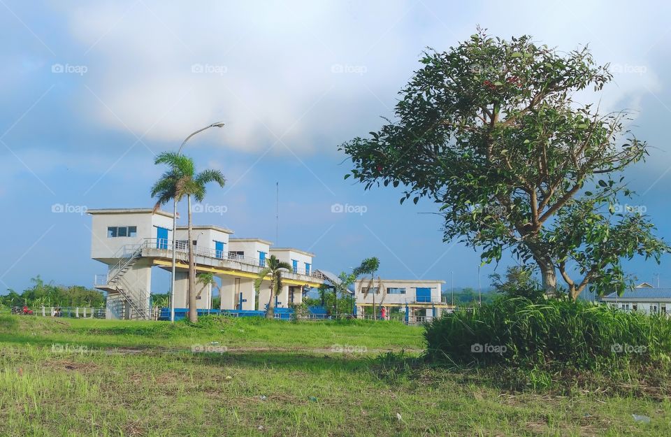 dam irigation with good tree