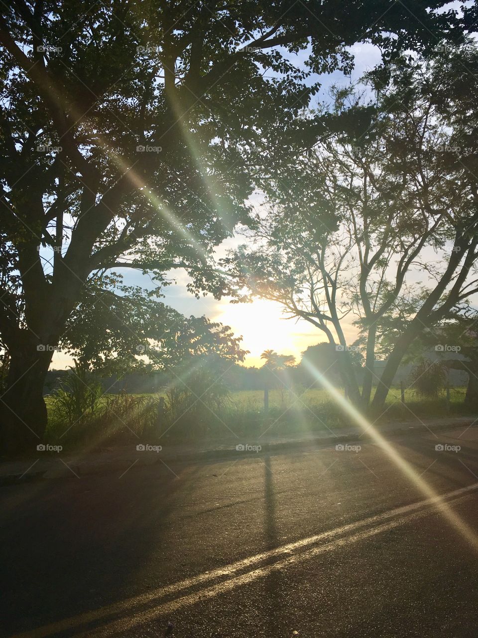 ‪07h00 - Nascendo um novo dia para que seja uma boa 4a feira!‬

‪☀️#Sol muito bonito de #natureza e #beleza indescritíveis. Obrigado, #MãeTerra. ‬

‪🌱 #inspiração #amanhecer #morning #fotografia #paisagem #sun #céu #landscapes‬
