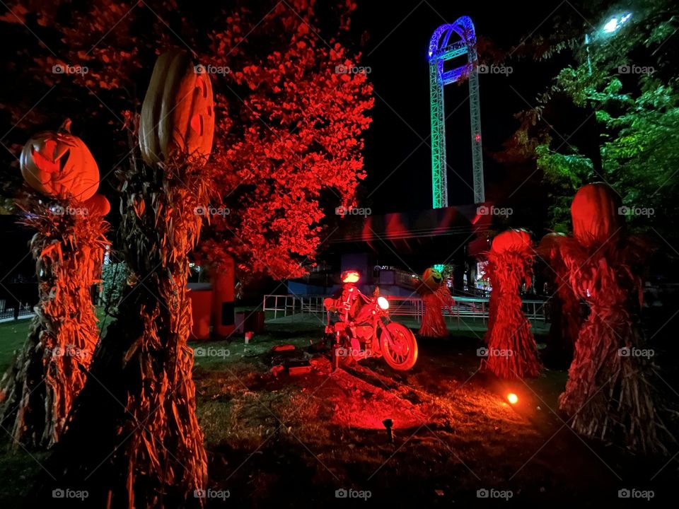 Jack o lanterns lit up with orange light Instagram TamaraLucey18